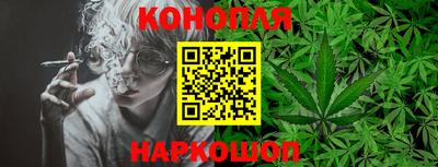 стаф Бийск
