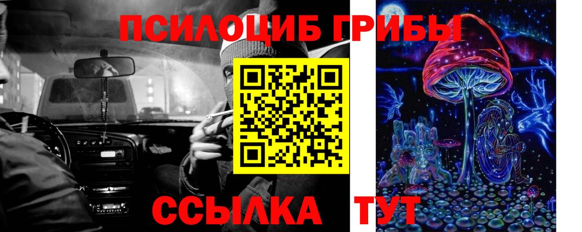 Киров  Галлюциногенные грибы прущие грибы  Вход с VPN 