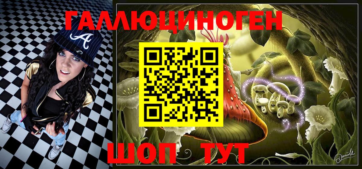 Псилоцибиновые грибы Psilocybine cubensis Киров